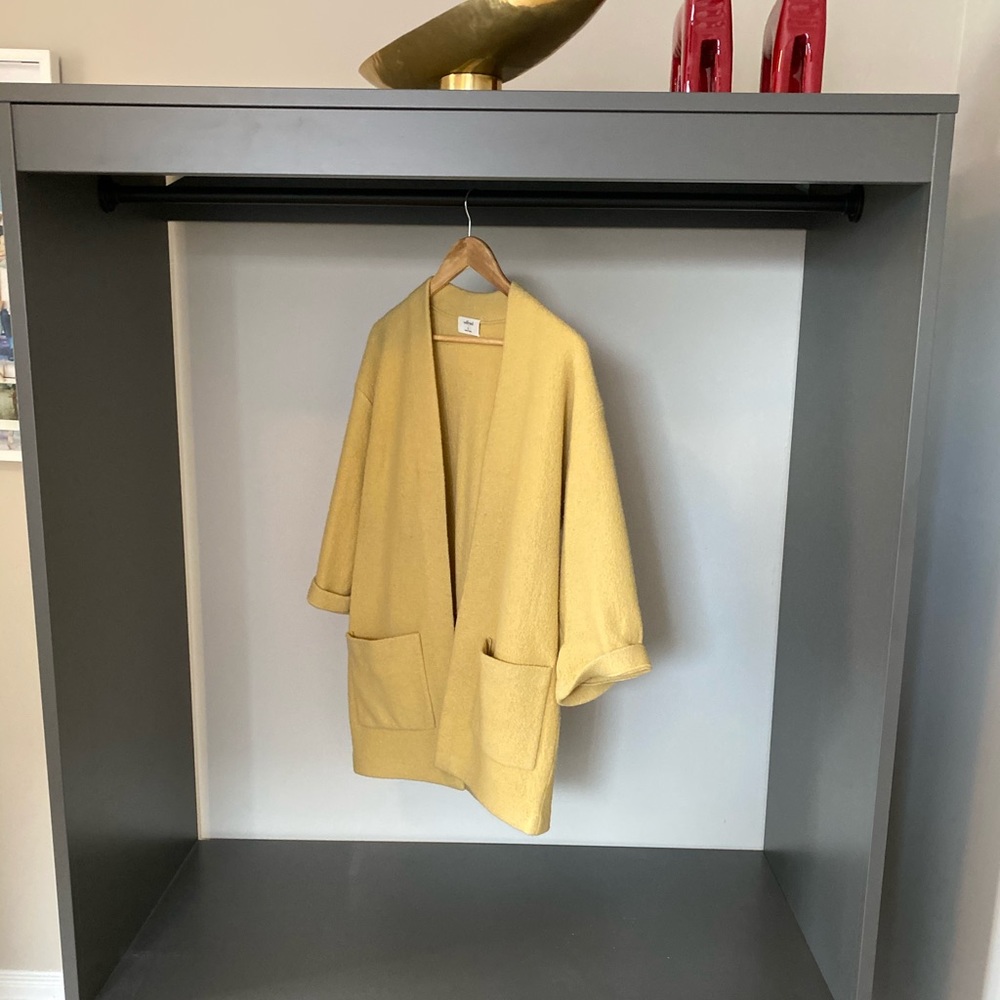 Aritzia cape